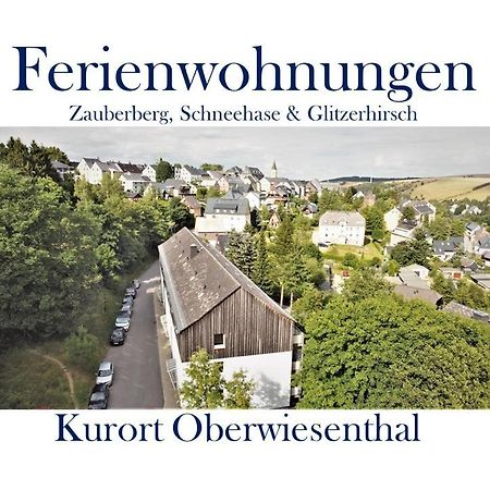 Ferienwohnungen Zauberberg, Schneehase & Glitzerhirsch Oberwiesenthal Eksteriør bilde