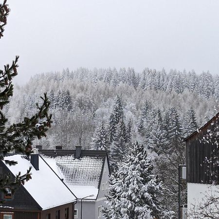 Ferienwohnungen Zauberberg, Schneehase & Glitzerhirsch Oberwiesenthal Eksteriør bilde