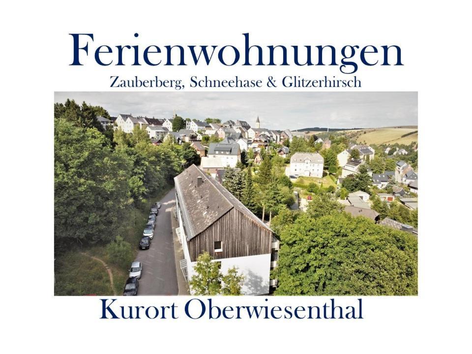Ferienwohnungen Zauberberg, Schneehase & Glitzerhirsch Oberwiesenthal Eksteriør bilde